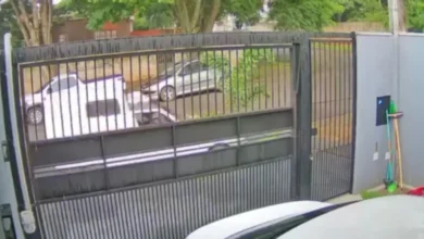 Fotos de Câmera flagra carro invadindo calçada, quebrando coqueiro e fugindo em Maringá