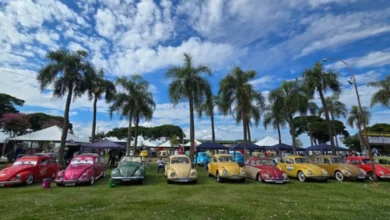Fotos de Caravanas que vão participar da exposição de carros antigos em Maringá já estão na estrada