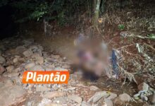 Fotos de Corpo de homem é encontrado em fundo de vale em Sarandi