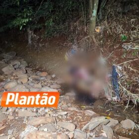 Fotos de Corpo de homem é encontrado em fundo de vale em Sarandi