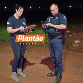 Fotos de Corpo de homem é encontrado em fundo de vale em Sarandi