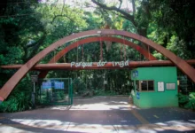 Fotos de Edital de concessão prevê arvorismo, tirolesa, Café Locomotiva e novos atrativos no Parque do Ingá