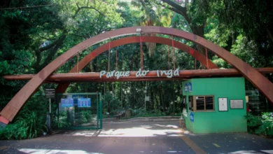 Fotos de Edital de concessão prevê arvorismo, tirolesa, Café Locomotiva e novos atrativos no Parque do Ingá