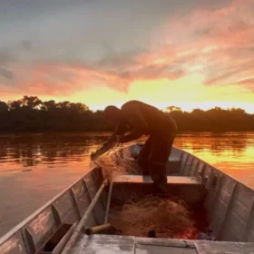Fotos de Fiscalização da piracema em Maringá e região resulta em 4 presos e mais de 100 kg de peixes apreendidos