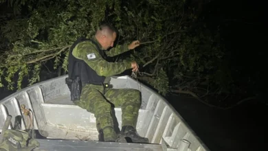 Fotos de Fiscalização da piracema em Maringá e região resulta em 4 presos e mais de 100 kg de peixes apreendidos