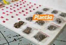 Fotos de GCM prende homem e apreende adolescente por tráfico de drogas em Sarandi