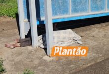 Fotos de Homem é encontrado morto em ponto circular no Jardim Guairacá, em Maringá