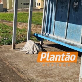 Fotos de Homem é encontrado morto em ponto circular no Jardim Guairacá, em Maringá