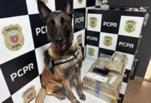 Fotos de Homem é preso com 24 quilos de maconha escondidos em ônibus na rodoviária de Maringá; vídeo