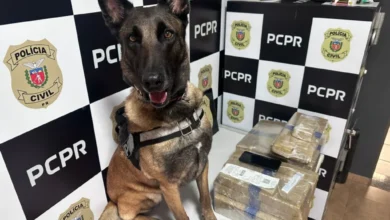 Fotos de Homem é preso com 24 quilos de maconha escondidos em ônibus na rodoviária de Maringá; vídeo