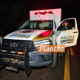 Fotos de Homem morre após atropelamento na noite de sábado; o corpo foi encaminhado ao IML de Maringá