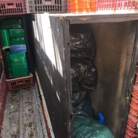 Fotos de Motorista é preso com quase 2 toneladas de maconha escondidas em caminhão de frango vivo na região de Maringá; vídeo