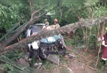 Fotos de Motorista morre na região após cair em ribanceira e ficar sem celular para pedir socorro