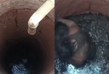 Fotos de Mulher cai em fossa de quatro metros ao tentar colher limões no quintal de casa em Marialva