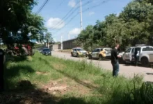 Fotos de Mulher é encontrada morta seminua em matagal no Paraná