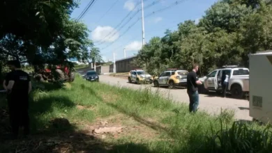 Fotos de Mulher é encontrada morta seminua em matagal no Paraná
