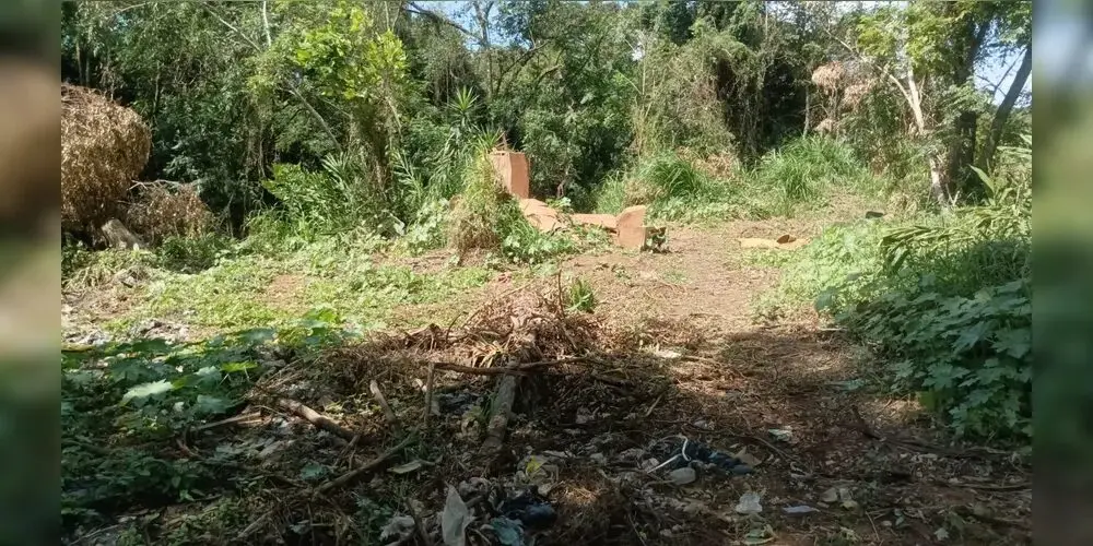 Fotos de Mulher é encontrada morta seminua em matagal no Paraná