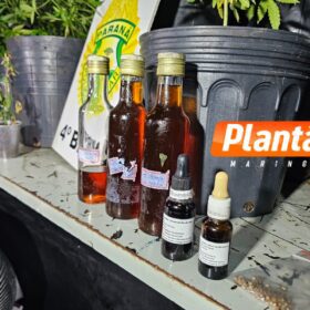 Fotos de Pelotão de Choque apreende estufas de maconha em edifício comercial no centro de Maringá