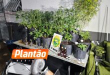 Fotos de Pelotão de Choque apreende estufas de maconha em edifício comercial no centro de Maringá