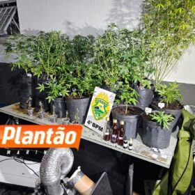 Fotos de Pelotão de Choque apreende estufas de maconha em edifício comercial no centro de Maringá