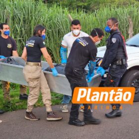 Fotos de Polícia Científica realiza perícia em corpo encontrado em Maringá; veja o que se sabe até agora