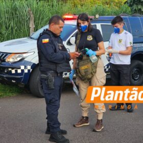 Fotos de Polícia Científica realiza perícia em corpo encontrado em Maringá; veja o que se sabe até agora
