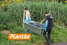 Fotos de Polícia Científica realiza perícia em corpo encontrado em Maringá; veja o que se sabe até agora