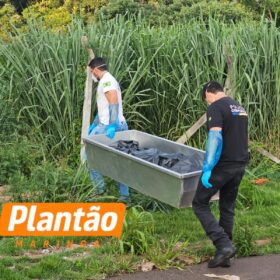 Fotos de Polícia Científica realiza perícia em corpo encontrado em Maringá; veja o que se sabe até agora