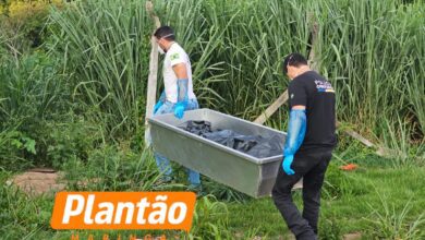 Fotos de Polícia Científica realiza perícia em corpo encontrado em Maringá; veja o que se sabe até agora
