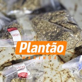 ROTAM prende suspeito de tráfico de drogas no Parque São Pedro, em Sarandi Foto 2 Fotos de ROTAM prende suspeito de tráfico de drogas no Parque São Pedro, em Sarandi