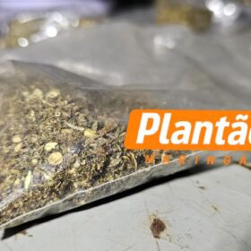 ROTAM prende suspeito de tráfico de drogas no Parque São Pedro, em Sarandi Foto 7 Fotos de ROTAM prende suspeito de tráfico de drogas no Parque São Pedro, em Sarandi