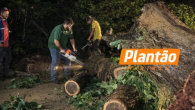 Fotos de Temporal atinge o distrito de Floriano, derruba árvores, danifica fiação e causa queda de energia