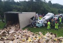 Fotos de Tentativa de assalto a caminhão termina com seis mortos na BR-116