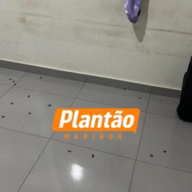 Fotos de Após 11 anos preso, homem deixa a cadeia e é executado com 31 tiros enquanto dormia em Sarandi