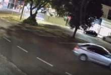 Fotos de Cadela cuidada há nove anos por moradores é atropelada e morre em cidade da região; veja o vídeo