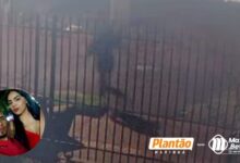 Fotos de Câmera registra suspeito de atirar na barriga de mulher grávida e matar ela e o marido em Sarandi