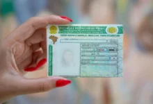 Fotos de CNH Social: Paraná oferece 4 mil vagas de habilitação de graça; saiba como se inscrever