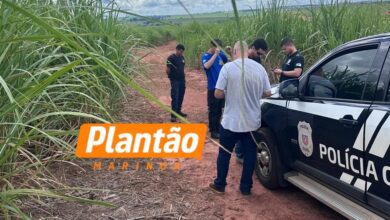 Fotos de Corpo de homem sequestrado é encontrado em canavial entre Maringá e Iguaraçu