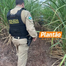 Fotos de Corpo de homem sequestrado é encontrado em canavial entre Maringá e Iguaraçu