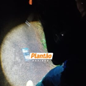 Fotos de Dois jovens são executados a tiros em possível emboscada na PR-458; os corpos foram encaminhados ao IML de Maringá 