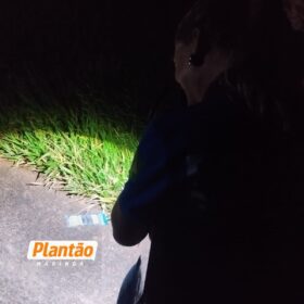 Fotos de Dois jovens são executados a tiros em possível emboscada na PR-458; os corpos foram encaminhados ao IML de Maringá 