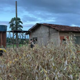 Fotos de Ex-companheiro esfaqueia mulher grávida e leva criança durante fuga na região