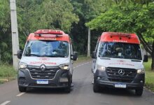 Fotos de Homem é socorrido pelo SAMU após levar mais de 200 picadas de abelha, em Maringá