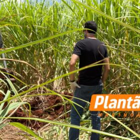 Fotos de Homem sequestrado e encontrado enterrado em uma cova rasa em meio canavial entre Maringá e Iguaraçu é identificado