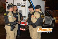 Fotos de Idosa é encontrada morta em Paiçandu; cachorro teria mordido o rosto da vítima após o óbito