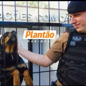 Policial Rodoviário Estadual de Maringá morre após acidente com viatura na PR-323 Foto 2 Fotos de Policial Rodoviário Estadual de Maringá morre após acidente com viatura na PR-323