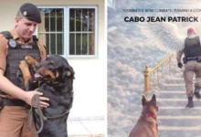 Fotos de ‘Meu guerreiro, meu herói’: Corpo de cabo da PM que morreu na PR-323 é velado em Maringá