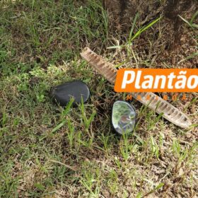 Fotos de Motociclista é Intubado e socorrido em estado gravíssimo após bater contra árvore em Maringá