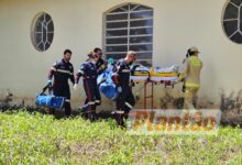 Fotos de Trabalhador é intubado após ser atacado por dois pitbulls, em Maringá