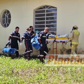 Trabalhador é intubado após ser atacado por dois pitbulls, em Maringá Foto 2 Fotos de Trabalhador é intubado após ser atacado por dois pitbulls, em Maringá